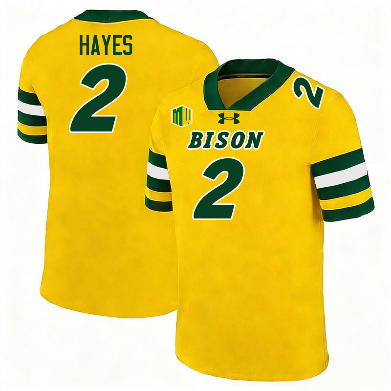North Dakota State Bison #2 Nathan Hayes College Football Jerseys,Uniforms-Gold